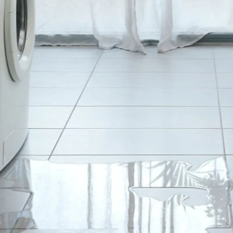 Appliance Leak Cleanup in Lorena, TX